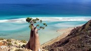 Thumbnail Beaches & Plants of exceptional natural reserve in the world